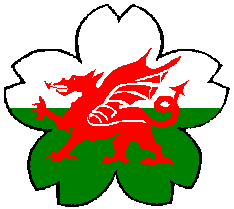 Welsh Judo web site